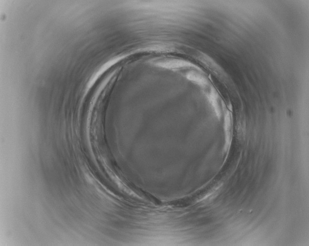 X0000058830484200510211959