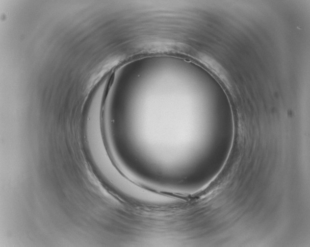 X0000058830485200510211959