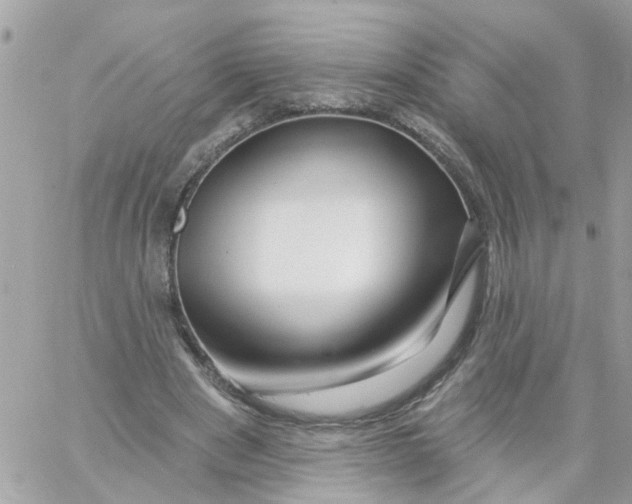 X0000058830489200510211959