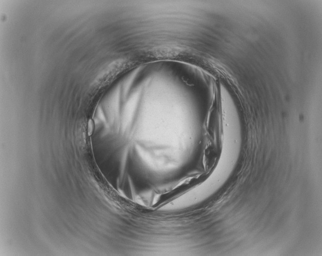 X0000058830501200510211958