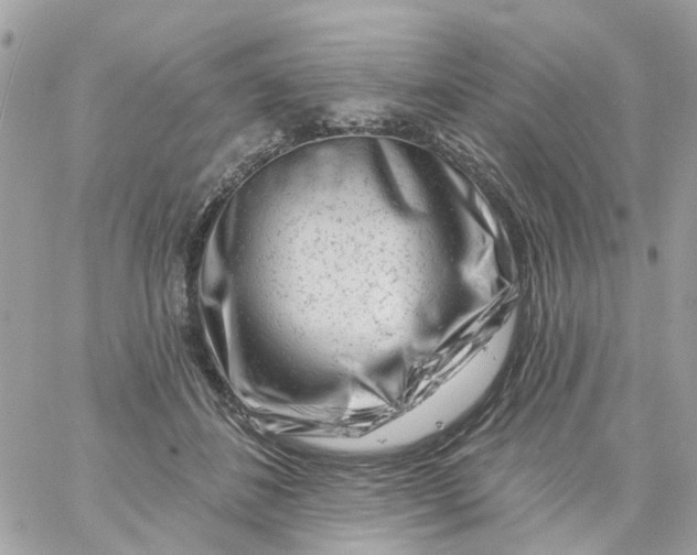 X0000058830508200510211958