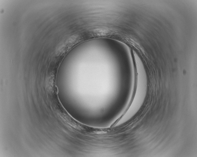 X0000058830509200510211958