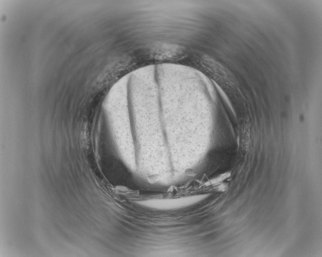 X0000058830510200510211958