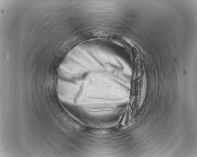 X0000058830513200510211958