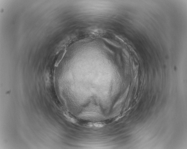 X0000058830520200510211958