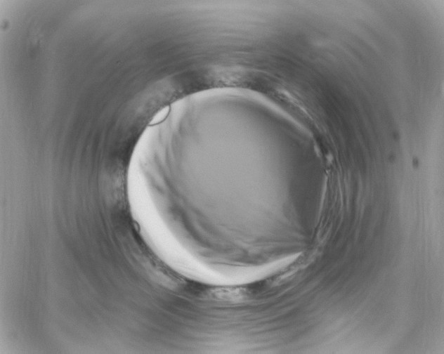 X0000058830526200510211958
