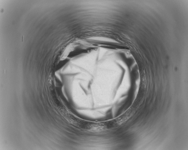 X0000058830555200510211958