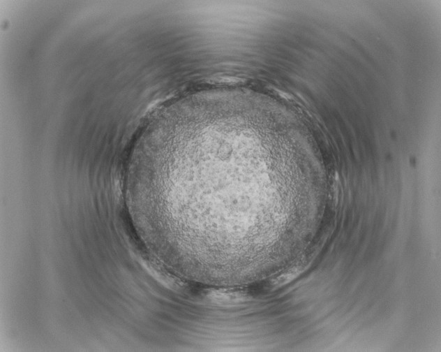 X0000058830568200510211958