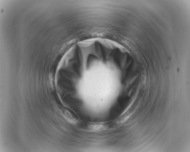 X0000058830575200510211958