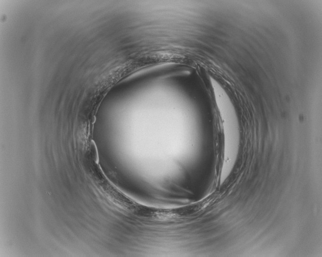 X0000058830605200510211957