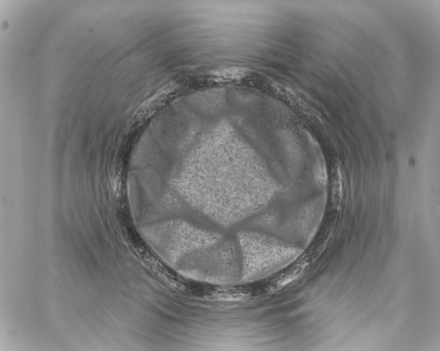 X0000058830608200510211957