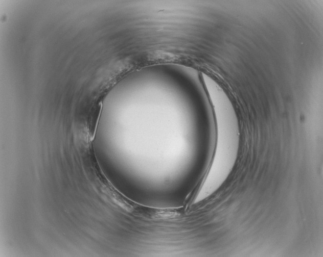 X0000058830617200510211957