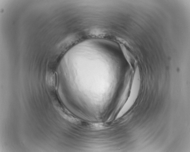 X0000058830623200510211957