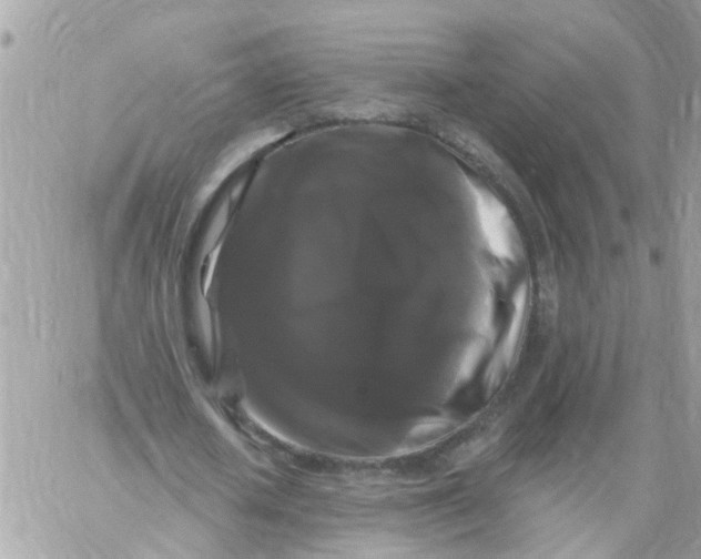 X0000058830626200510211956
