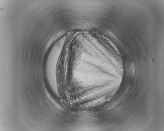 X0000058830634200510211956