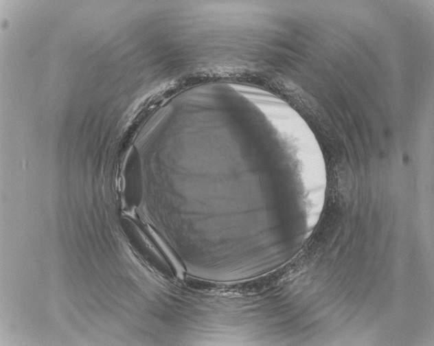 X0000058830640200510211956