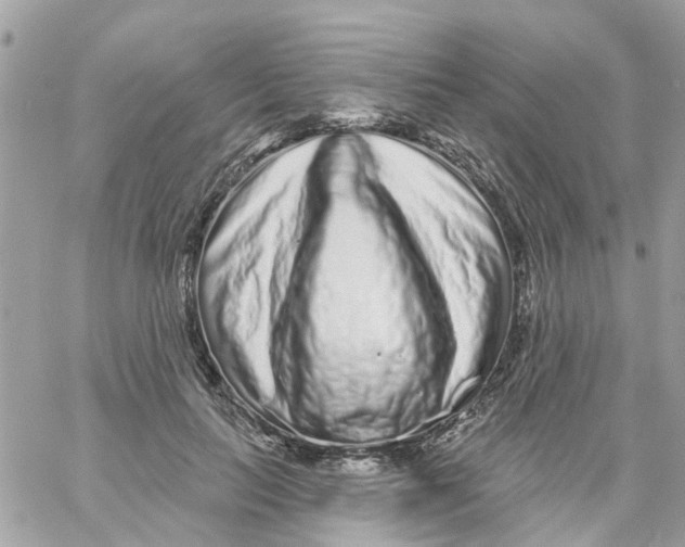 X0000058830647200510211956