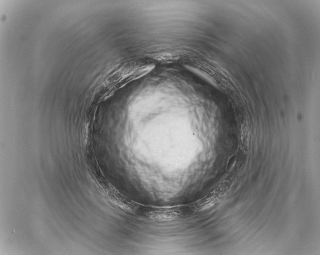 X0000058830652200510211956