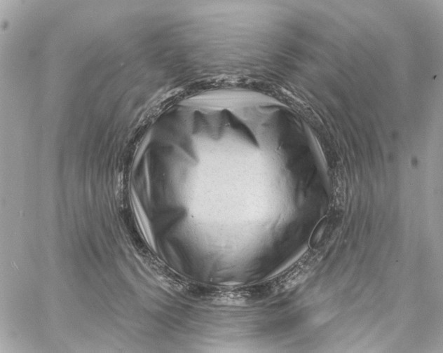 X0000058830656200510211956
