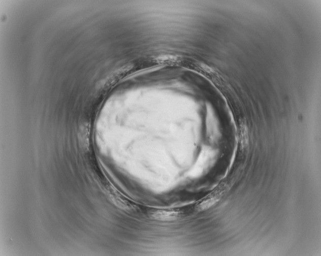 X0000058830664200510211956