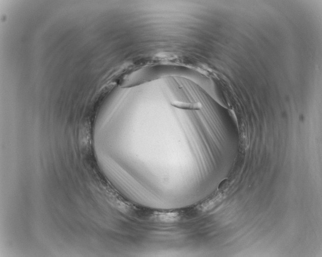 X0000058830665200510211956