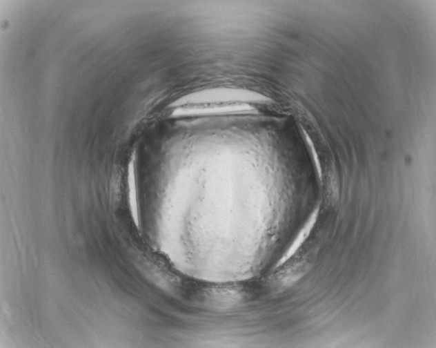 X0000058830668200510211956