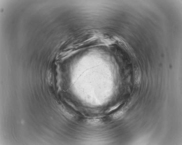 X0000058830669200510211956