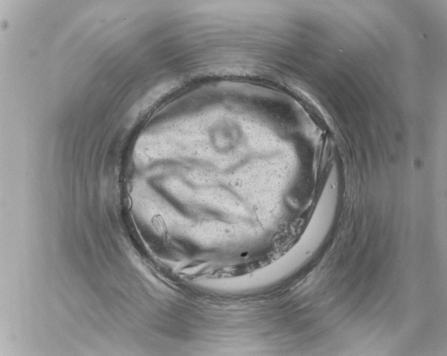 X0000058830677200510211956