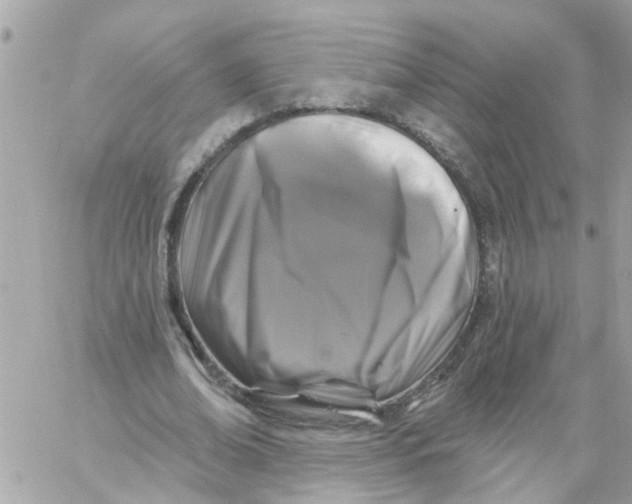 X0000058830678200510211956