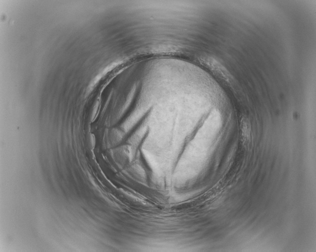 X0000058830684200510211956