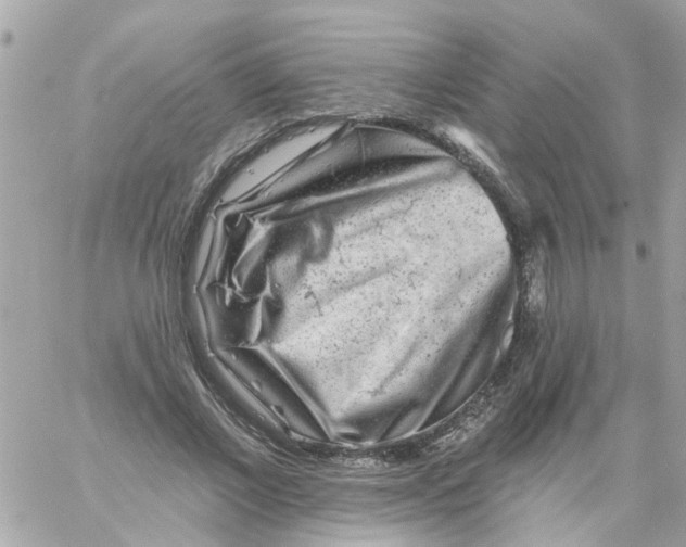 X0000058830685200510211955