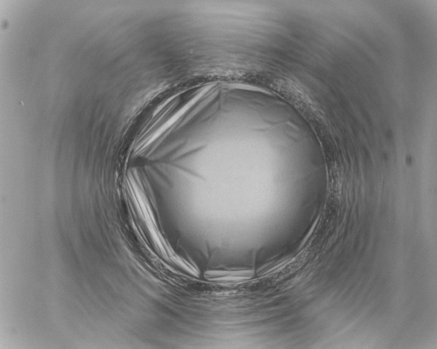 X0000058830692200510211955