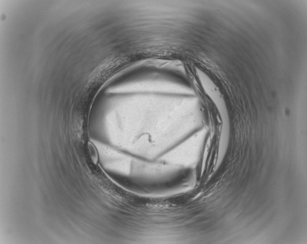X0000058830693200510211955