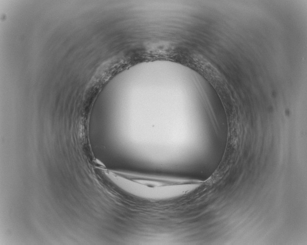 X0000058830706200510211955