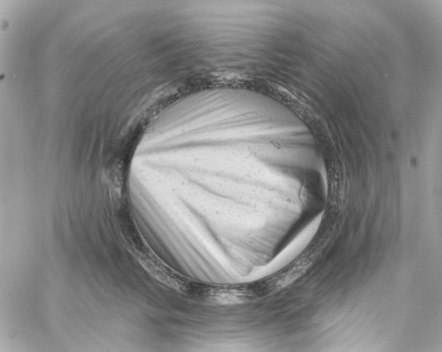 X0000058830710200510211955