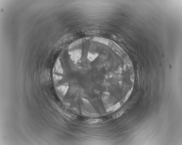 X0000058830711200510211955