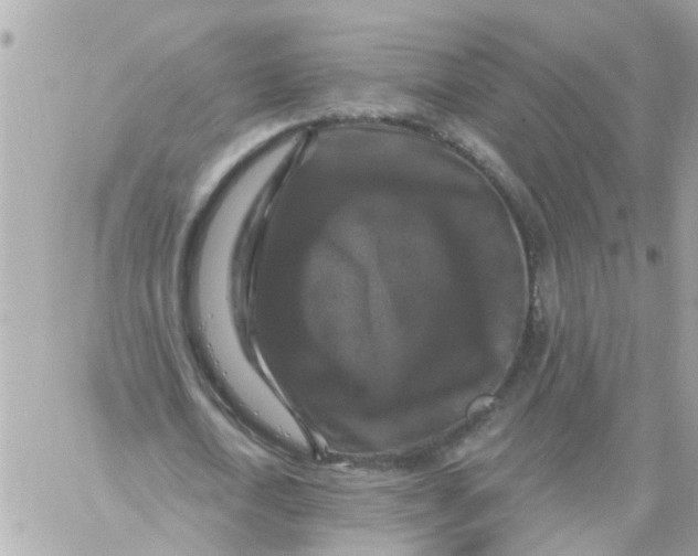 X0000058830722200510211954