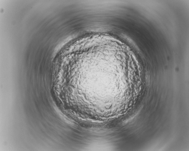 X0000058830725200510211954