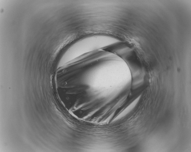 X0000058830735200510211954