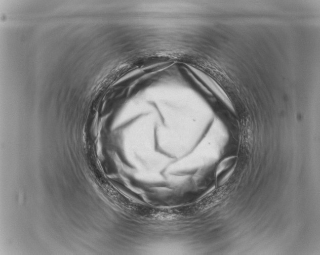 X0000058830742200510211954