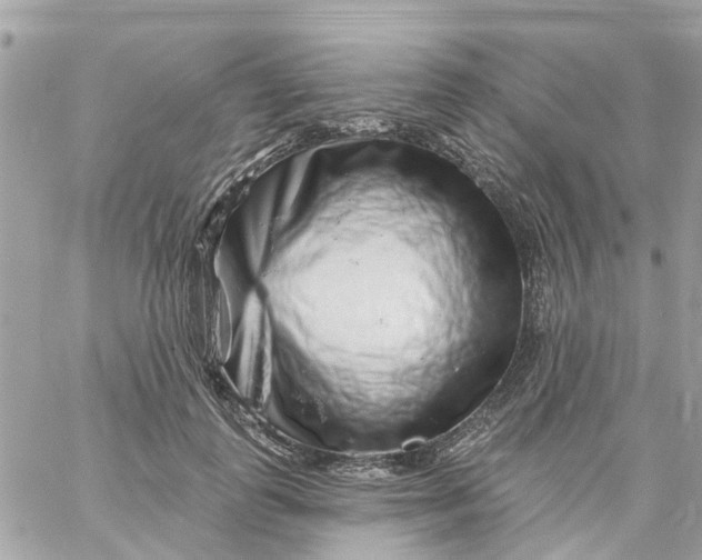 X0000058830747200510211954