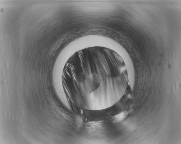 X0000058830750200510211954