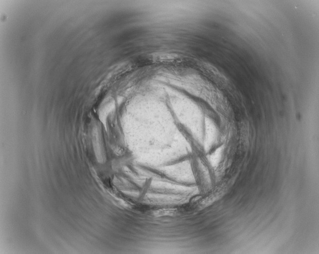 X0000058830761200510211955