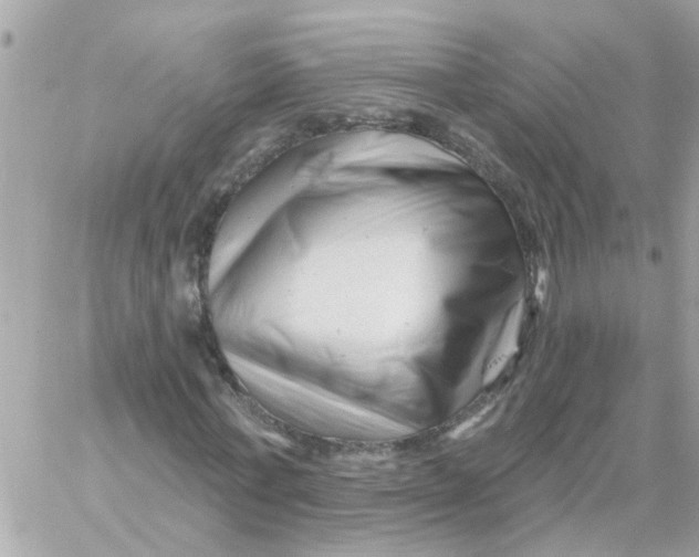 X0000058830771200510211954