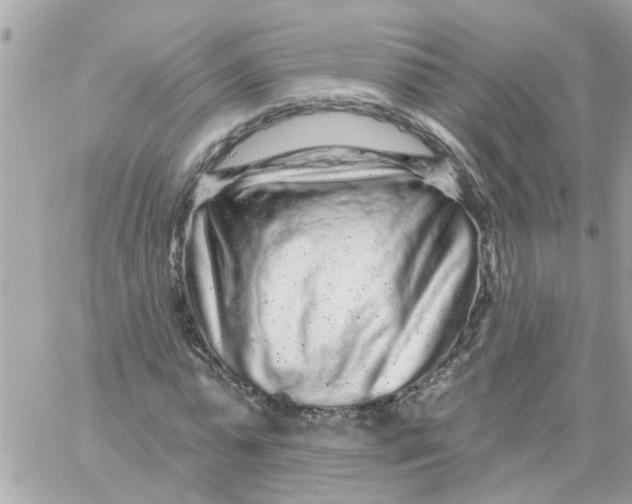 X0000058830775200510211954