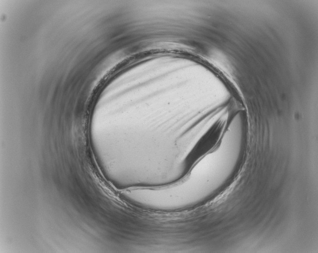 X0000058830783200510211954