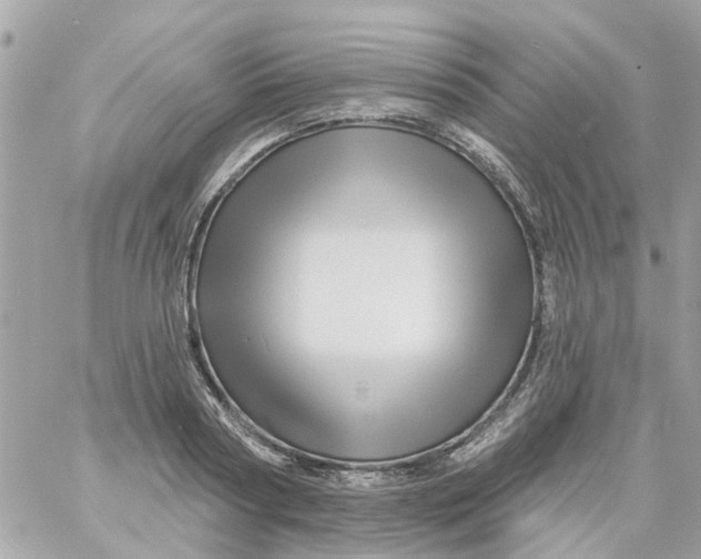 X0000058830794200510211953