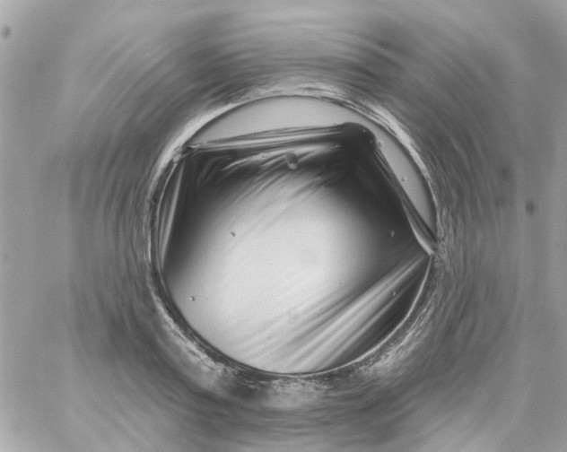 X0000058830795200510211953