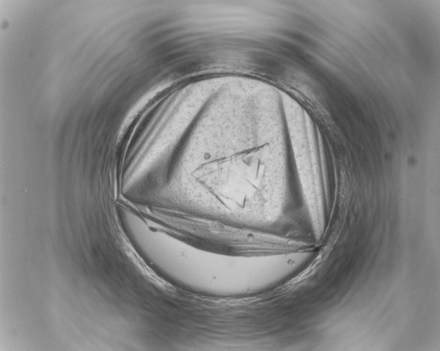 X0000058830796200510211953