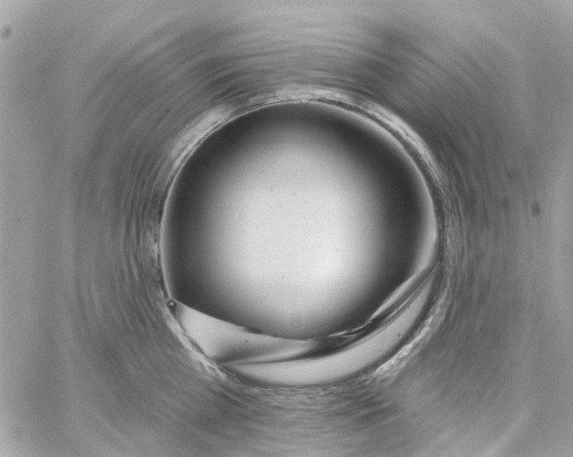 X0000058830809200510211953
